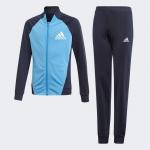 Bộ quần áo Trening Adidas Yg Pes Ts