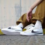 Giày Nike SB BRSB 'White Black'