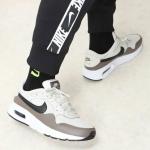 Giầy Nike Air Max SC Light Bone/Cave Stone