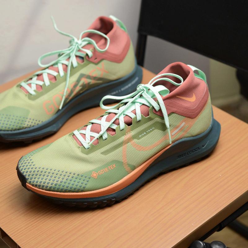 Giày Thể Thao Nam Nike Pegasus Trail 4 GORE-TEX